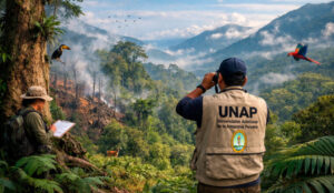 Investigación internacional con aporte científico de la UNAP muestra datos sobre el calentamiento global y su repercusión en los bosques andino-amazónicos