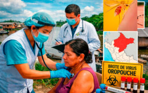 Investigación de la UNAP y universidades españolas detectan brote de enfermedad oropouche